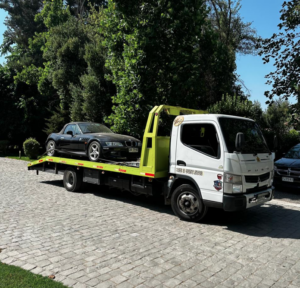 Grúas de apoyo servicios